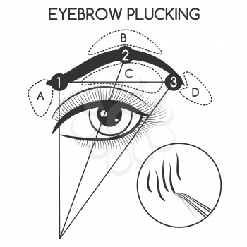 Eyebrow plucking concept isolated on white background. Vector illustration