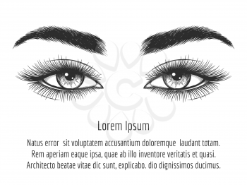 Hand drawn look of beautiful female eyes isolated on white. Female eyes sketch background. Vector illustration