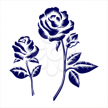Hand drawn engraving roses on grey background. Vector illustration