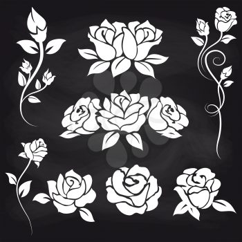 Hand drawn ornate floral elements. Vector decorative roses on chalkboard