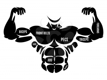 Male athletic body silhouette. Vector black male torso anatomic map