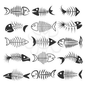 Fish bones isolated on white background. Fishbone silhouettes vector illustration