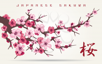 Japan cherry blossom branching tree vector illustration. Japanese invitation card with asian blossoming plum branch
