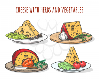 Cheese with herbs and vegetables. Doodle cheese dishes with tomatoes, olives and salad vector illustration