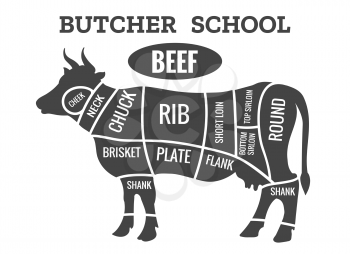 Cow butcher diagram. Cutting beef meat or steak cuts diagram chart for restaurant poster vector illustration