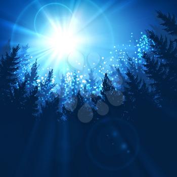 Pine forest background with sun rising in blue colors, vector illustration