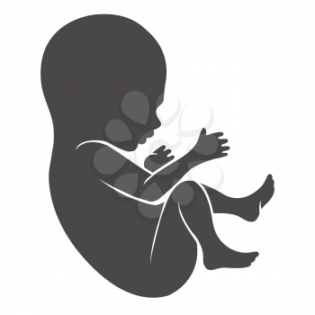 Human fetus icon or newborn and unborn baby silhouette isolated on white background. Vector illustration