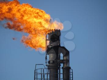 System of a torch on an oil field. Burning through a torch head.