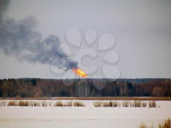 Burning gas flare on the forest background.