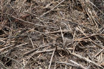 Background from dry grass and twigs. Cleaning of garden.