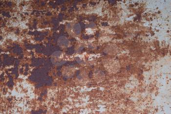 the sheet of iron rusty with the peeled-off paint. Background and texture