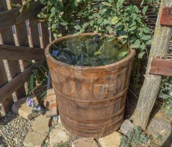 Wooden barrel filled with water. Storage in open water outdoors container.