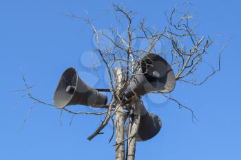 Vintage hornspeakers on a dry tree. Horn speaker.