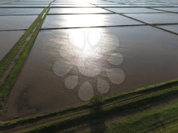 Flooded rice paddies. Agronomic methods of growing rice in the fields. Flooding the fields with water in which rice sown. View from above.