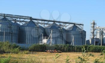 Plant for storage and processing of grain