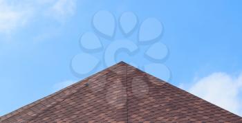 Decorative metal tile on a roof. Types of a roof of roofs.