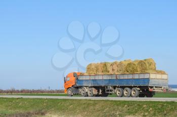 Truck carrying hay in his body. Making hay for the winter