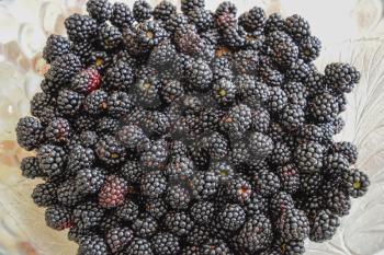 Plate with berries black blackberries. Fruits berries on the table.