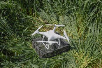 Quadrocopters on a plastic box in the grass. Preparation quadrocopter to fly.