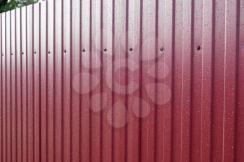 Diagonal pattern of metal profile. Fences from the galvanized iron painted by a polymeric covering.