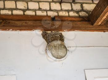 Swallow's nest on the wall. Birds Nest on a person's home.