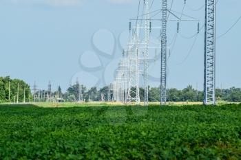 Transmission tower on a background field of soybeans.