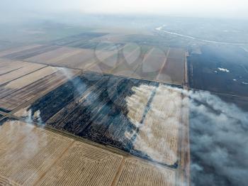 Burning straw in the fields after harvesting wheat crop