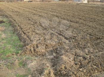 Disc harrow plow the garden. Private infield. Caring for the soil. Preparation for sowing.