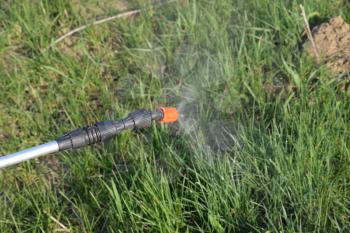 Spraying herbicide from the nozzle of the sprayer manual. Devices for processing plants in the garden.