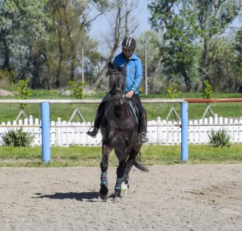 Krasnodar, Russia - April 28, 2017: Equestrian sports with teenagers. Horse Club. A girl is riding a horse.