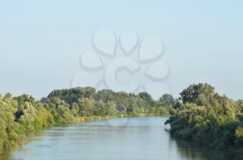 River Kuban. Water smooth surface and coastal woods.