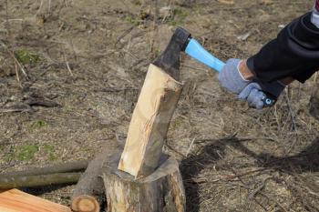 Chopping wood with an ax. Chopping wood