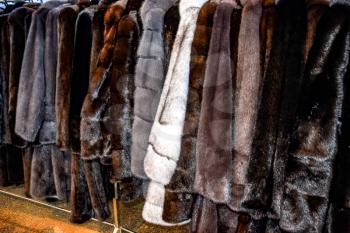 Fur coats on hangers. Fur store. fur coats in a row.