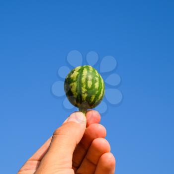 A small watermelon in the hand against the blue sky