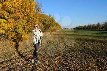 Girl on a background of yellow leaves of autumn trees. Girl in sunglasses. Autumn photo session