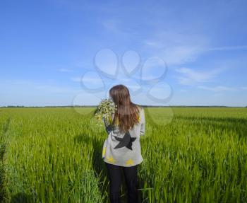 Young beautiful girl with a bouquet of chamomiles. A woman in a barley field.
