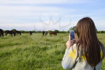 The girl takes pictures of horses grazing on the phone. Girl with a smartphone