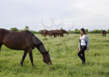 The girl is stroking the horse. Girl with horses in the pasture