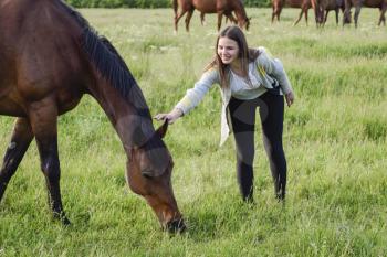 The girl is stroking the horse. Girl with horses in the pasture