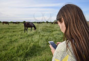 The girl takes pictures of horses grazing on the phone. Girl with a smartphone