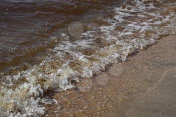 Brown water. The sea is brown. Coastal sea waves. Seawater with seaweed. Coastal algae. Sea beach