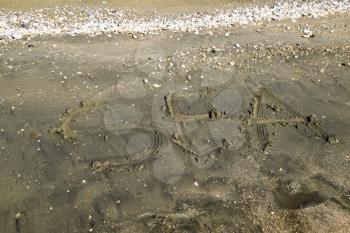 The inscription of the sea on the sand. Coastal sand and waves. Inscriptions on the shore.