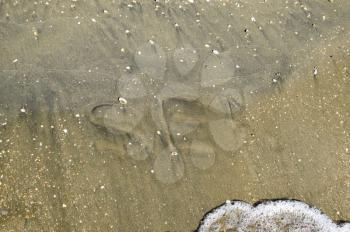 The inscription of the sea on the sand. Coastal sand and waves. Inscriptions on the shore.