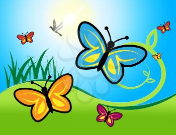 Butterflies And Flowers Showing Nature And Summer