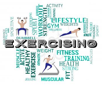 Fitness Exercising Meaning Working Out And Training