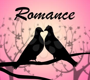 Romance Doves Representing Love Birds And Fondness