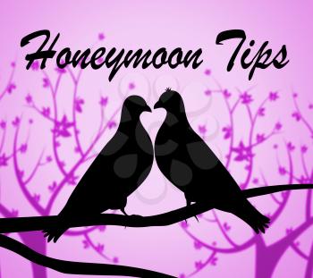 Honeymoon Tips Representing Pointers Travel And Honeymoons