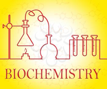 Biochemistry Research Showing Test Examination And Experiment