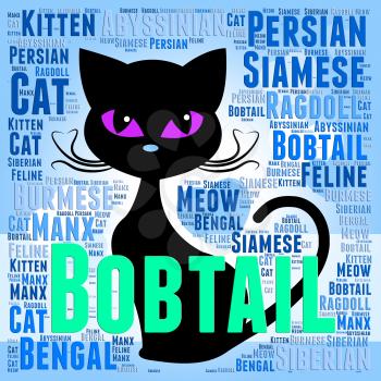 Bobtail Cat Showing Breeds Reproducing And Tails