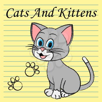 Cats Kittens Representing Pedigree Kitty And Pet